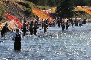 Combat fishing at the Confluence