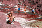 Lolo and Michelle sunning in Red Canyon