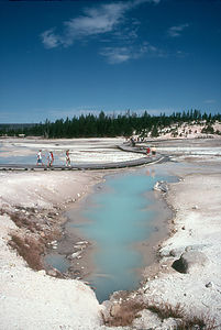 Norris Geyser Basin