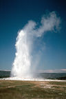 Old Faithful Geyser