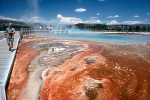 Midway Geyser Basin