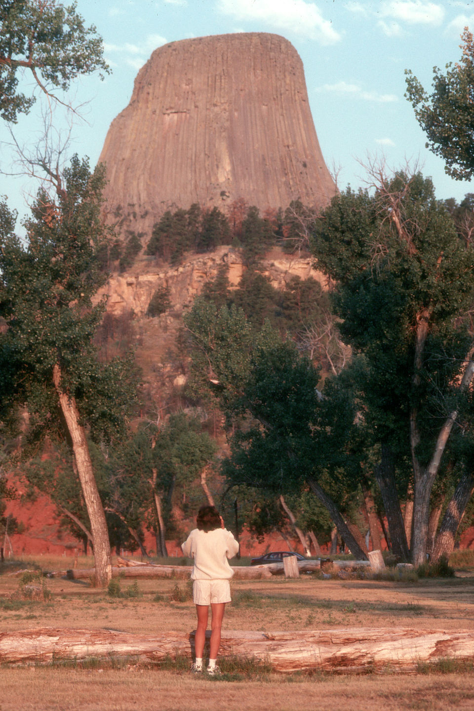 Lolo by Devil's Tower at sunrise Lolo by Devil's Tower at sunrise