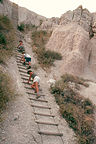 Lolo and boys climbing ladder on the Notch Trail