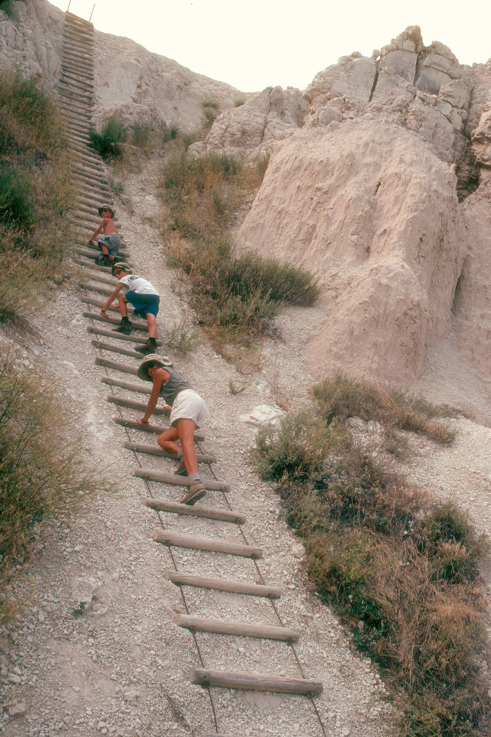 Lolo and boys climbing ladder on the Notch Trail Lolo and boys climbing ladder on the Notch Trail
