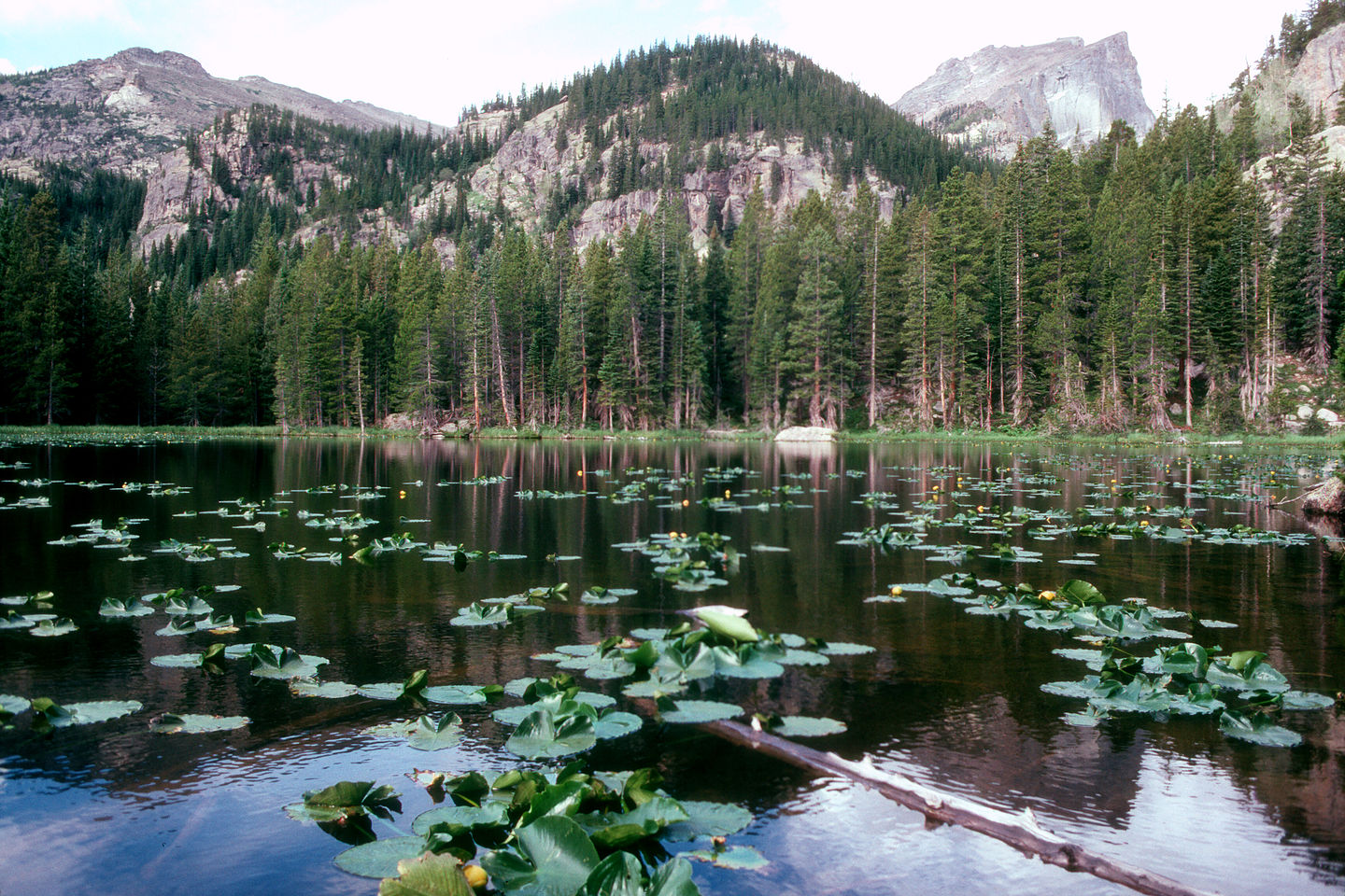 Lake along Emerald Lake Trail Lake along Emerald Lake Trail