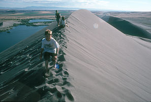 Lolo and boys at Bruneau Dune Summit