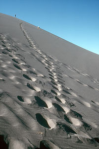 Steep Bruneau Dune Ascent