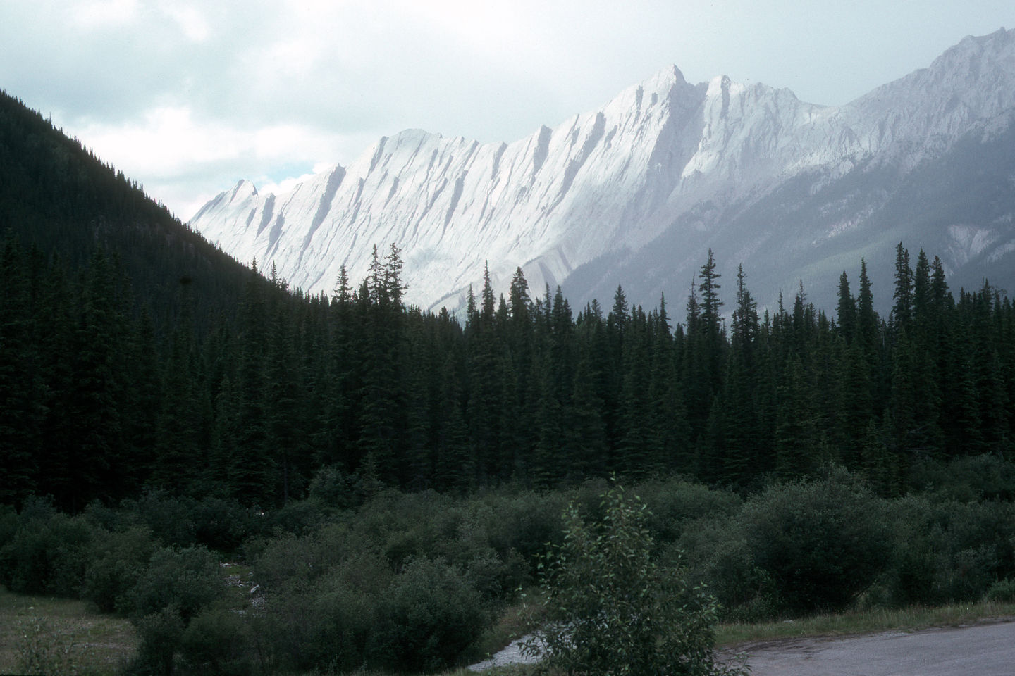 Mountain peaks of Jasper Mountain peaks of Jasper