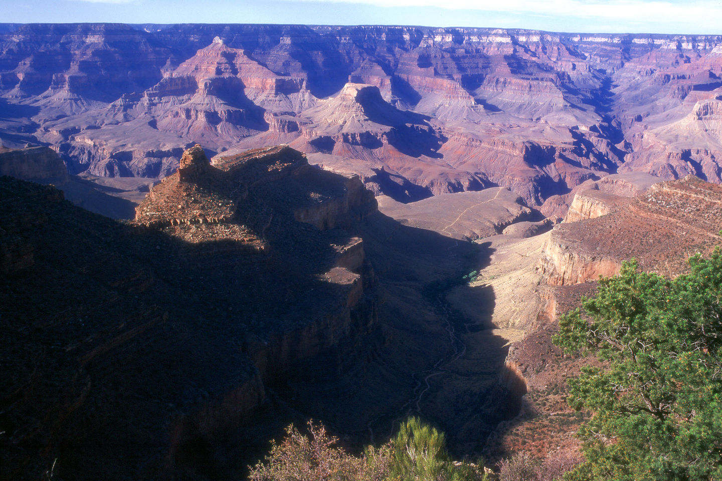 View of the Canyon from the Rim Trail View of the Canyon from the Rim Trail