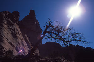 Red Rocks