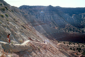 Lolo hiking the Eagle's View Trail