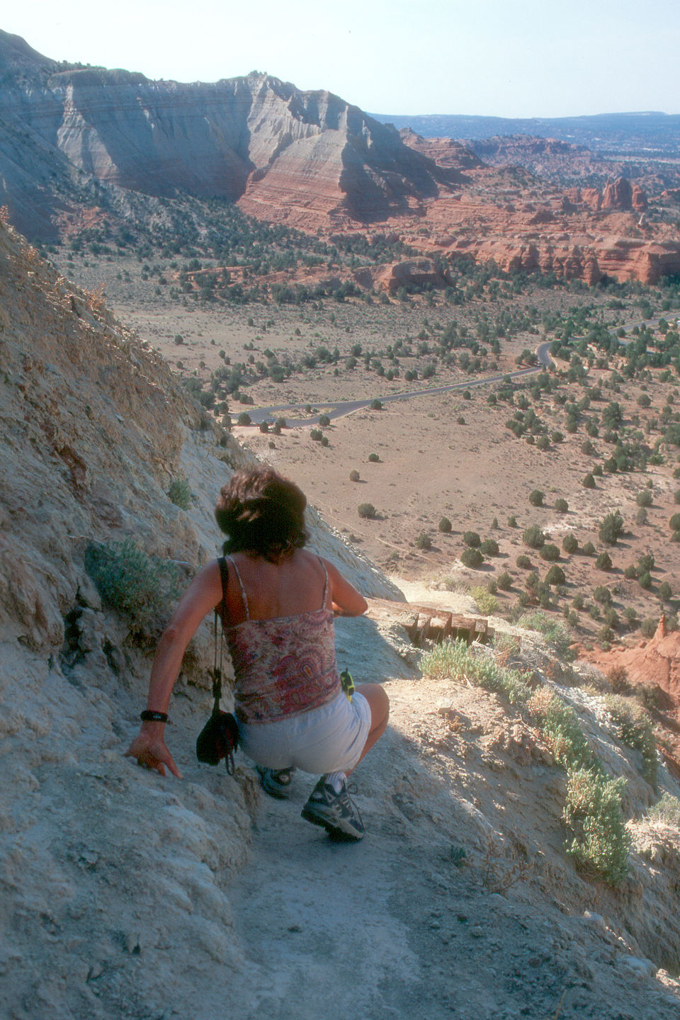 Lolo on her knees crawling down Eagle's View Trail