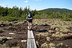 Between Mt. Jackson and Mizpah Springs