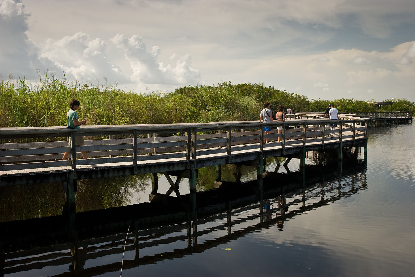 Family hiking Anhinga Trail Family hiking Anhinga Trail