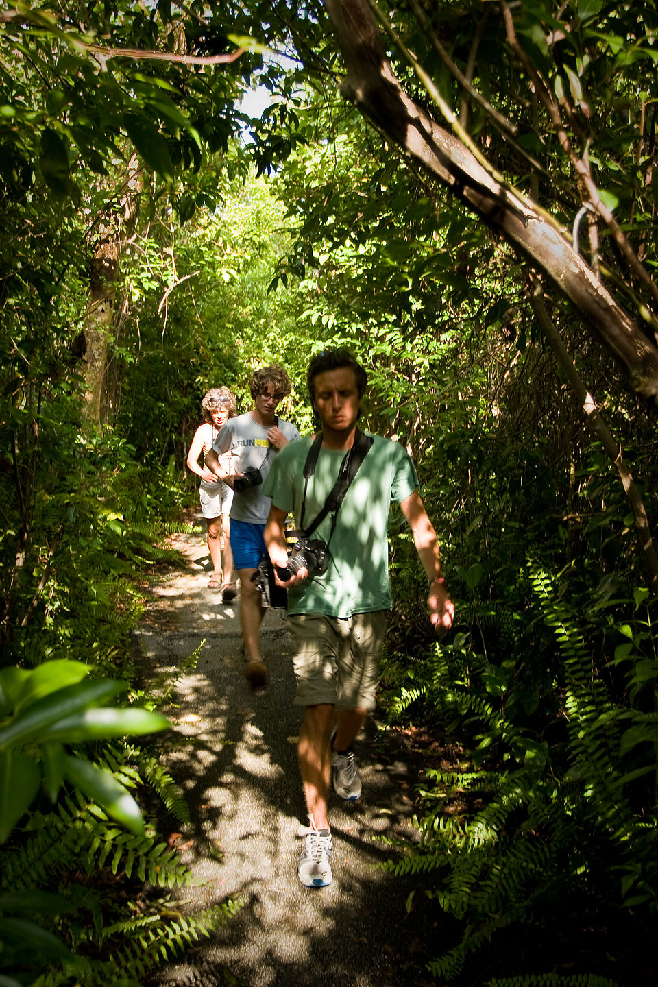 Family hiking Gumbo Limbo Trail Family hiking Gumbo Limbo Trail