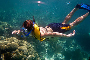 Tommy Snorkeling - AJG