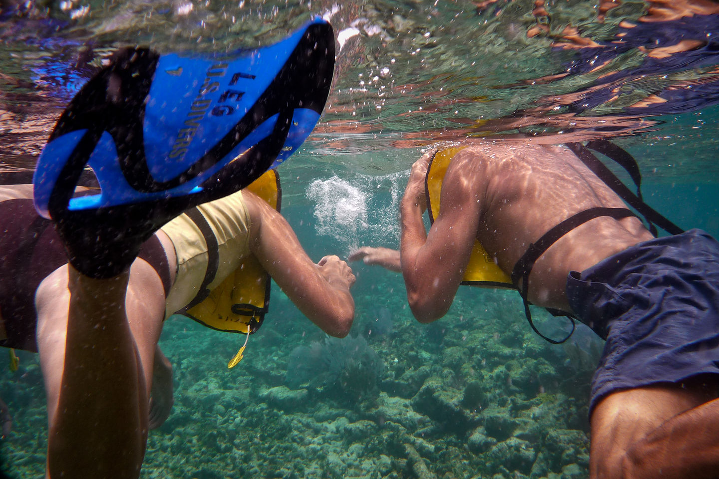 Mom and Dad snorkeling - TJG Mom and Dad snorkeling - TJG