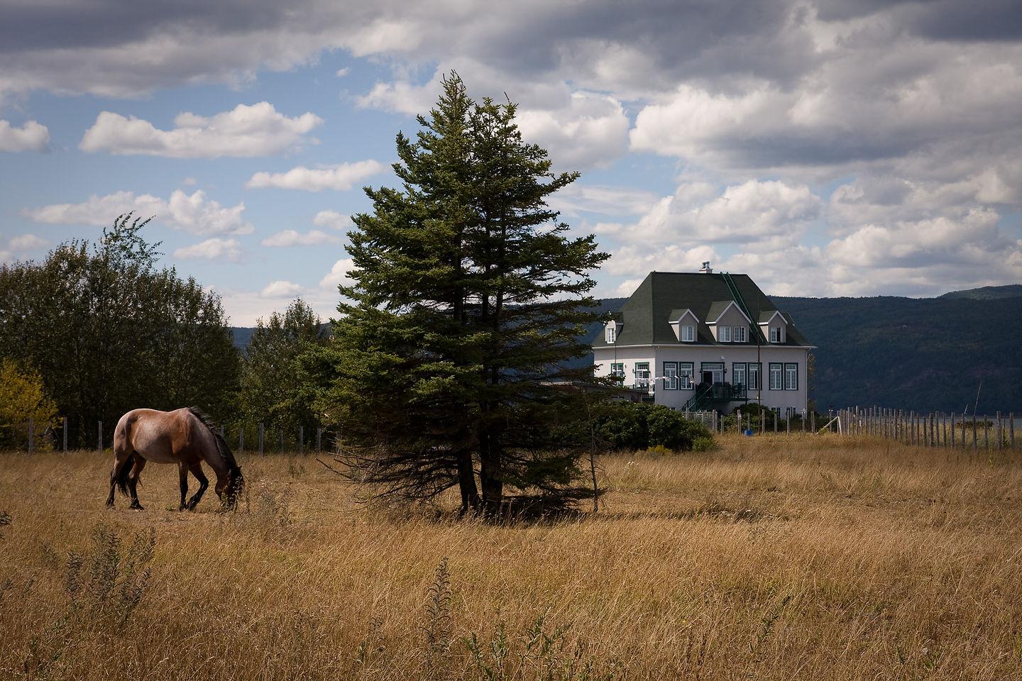 Bike Ride Landscape - AJG