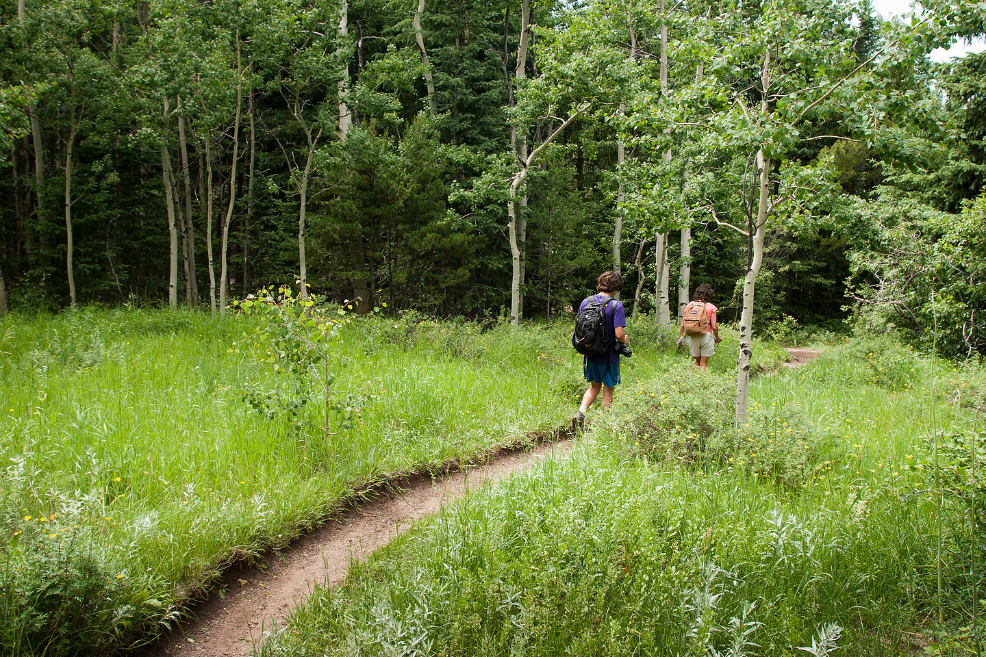 Hiking the Raccoon Loop Trail