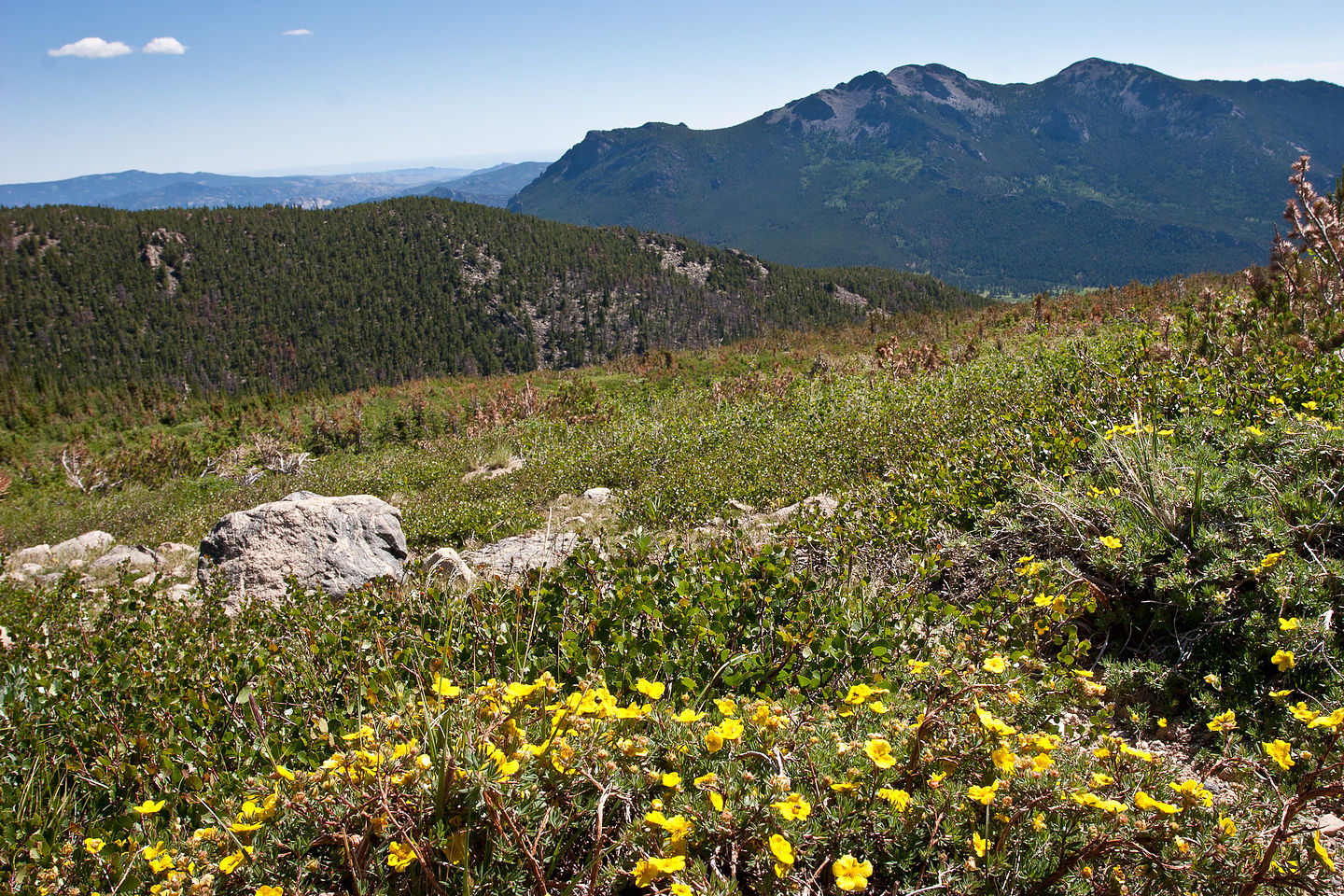 Meadow view on Chasm Lake hike Meadow view on Chasm Lake hike