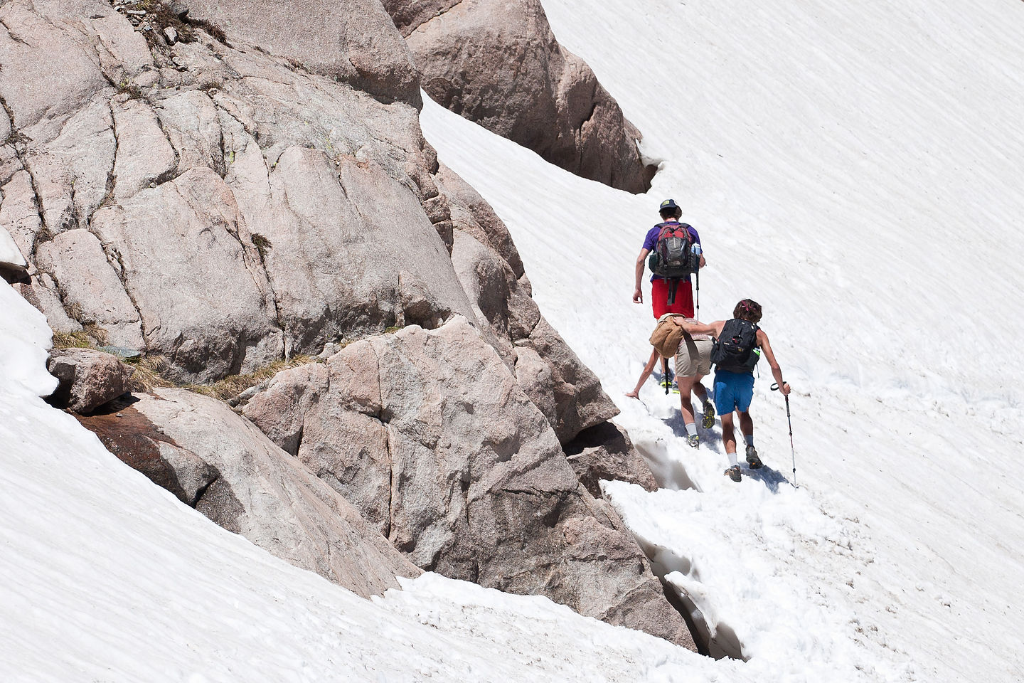 Nervous Lolo crossing the snowfield Nervous Lolo crossing the snowfield