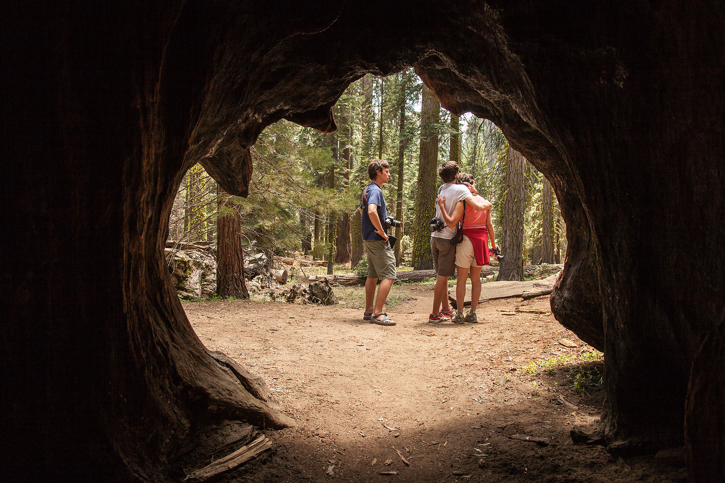 Family from Inside of a Burnt Out Sequoia Family from Inside of a Burnt Out Sequoia