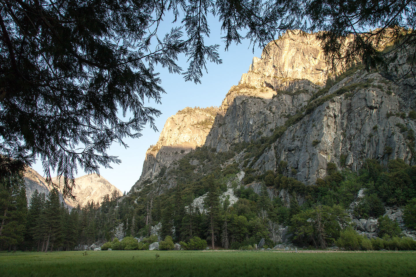 Zumwalt Meadows Hike