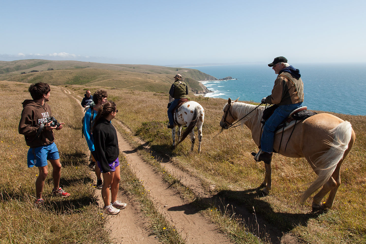 Horses on Tomales Point Trail Horses on Tomales Point Trail