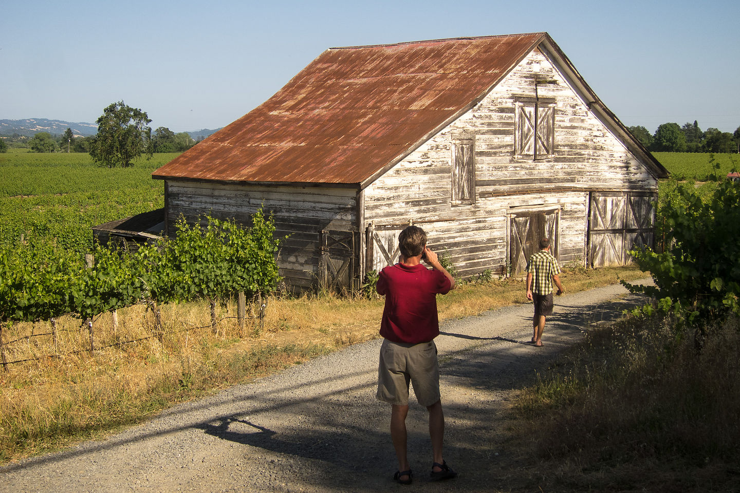 Photogenic Old Barn - TJG Photogenic Old Barn - TJG