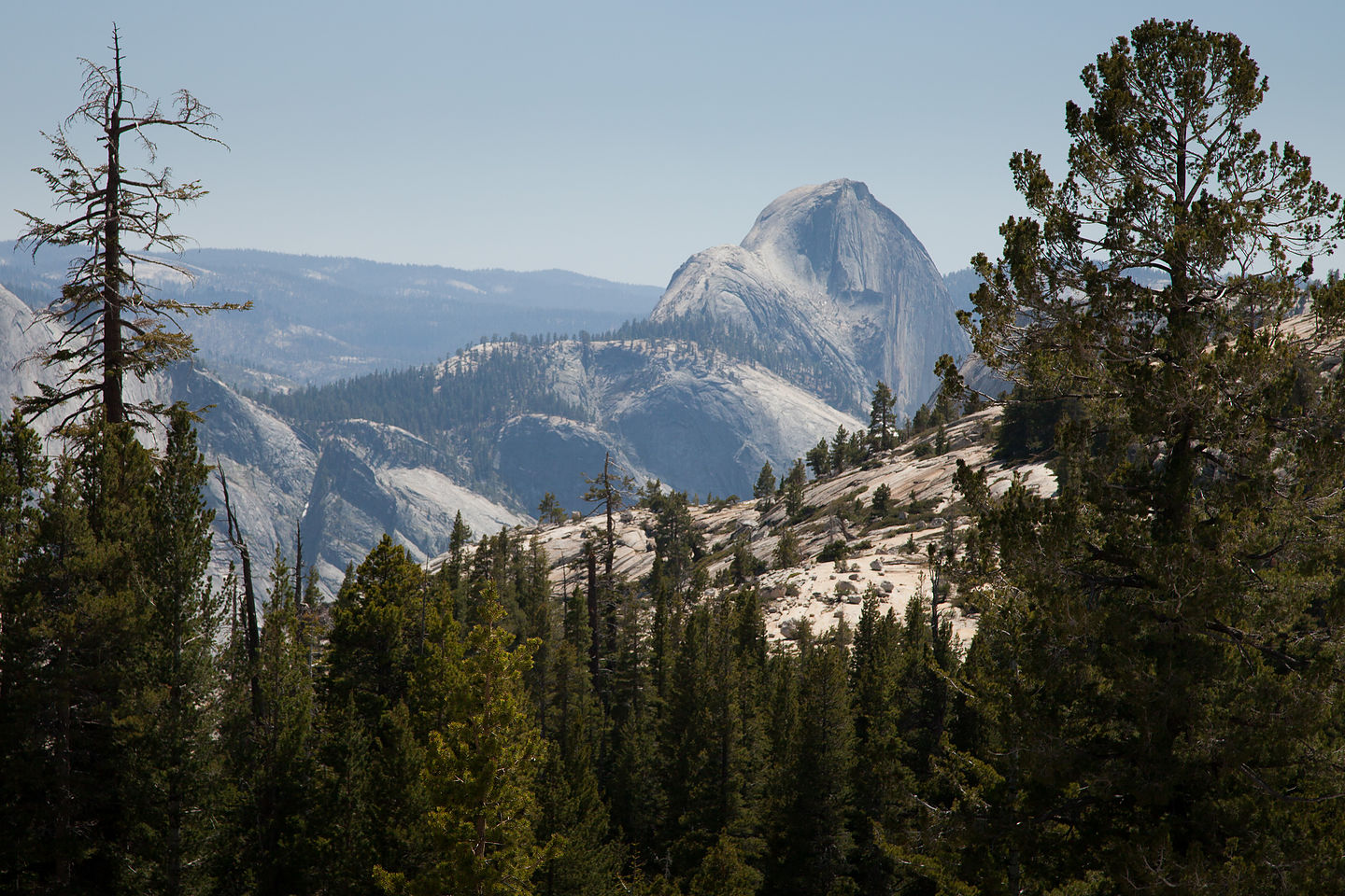 Back of Half Dome from Tioga Pass Road Back of Half Dome from Tioga Pass Road