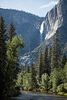Yosemite Falls from Housekeeping Camp Bridge