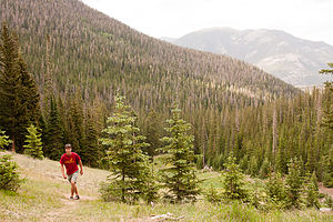 Hidden Valley Hike