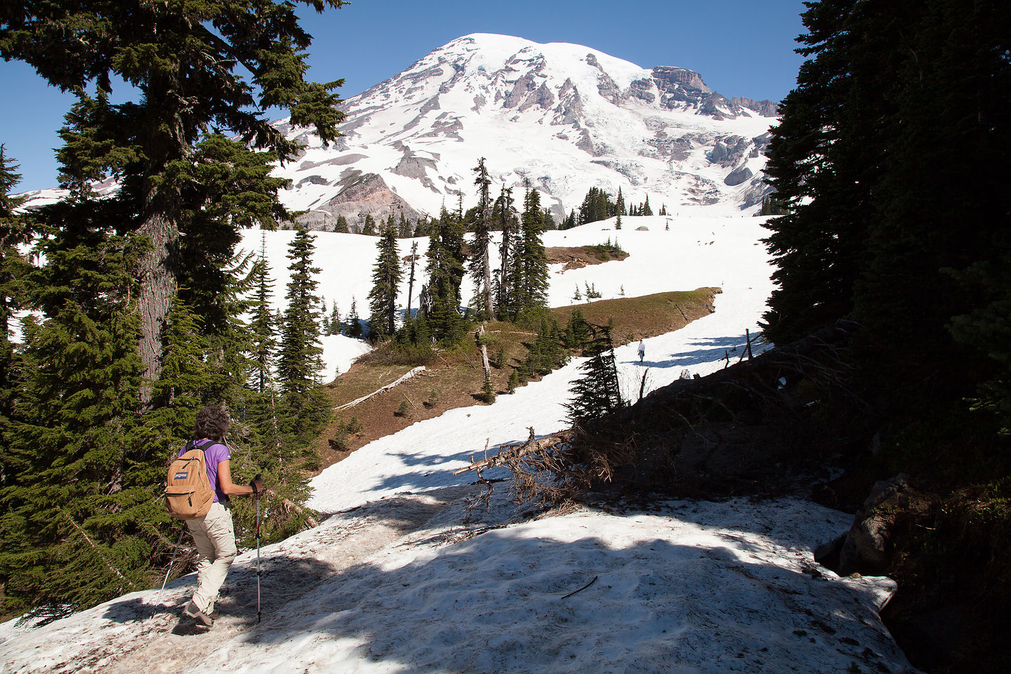 Lolo approaching the Skyline Trail