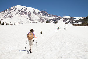 Lolo on Skyline Trail