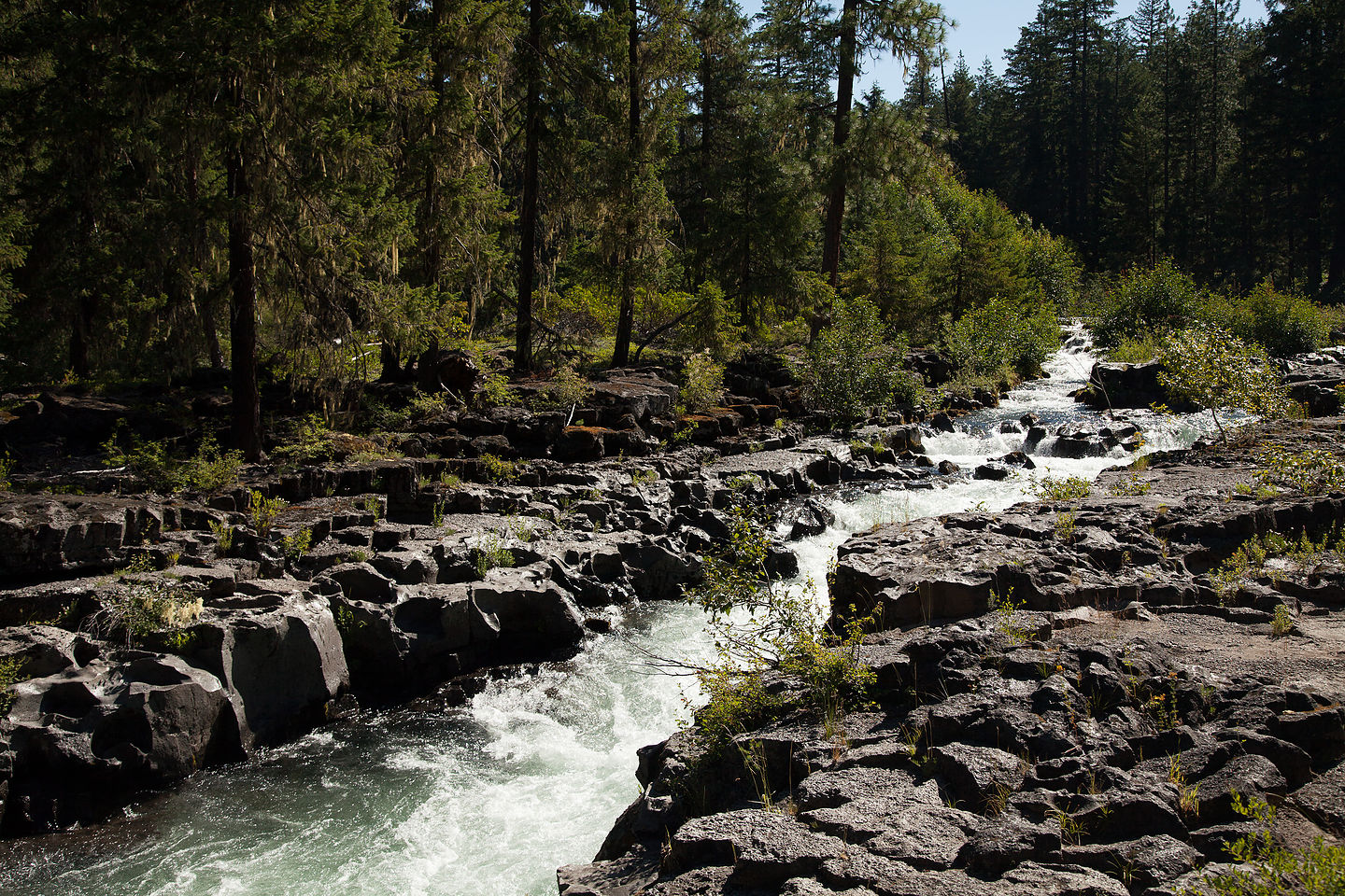 Rogue River Gorge Viewpoint