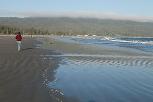 Lolo on Crescent Beach