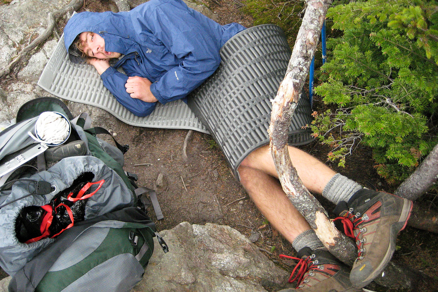 Post-Lunch Nap on Wildcat A Post-Lunch Nap on Wildcat A