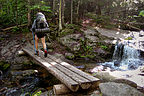 Nineteen Mile Brook Trail