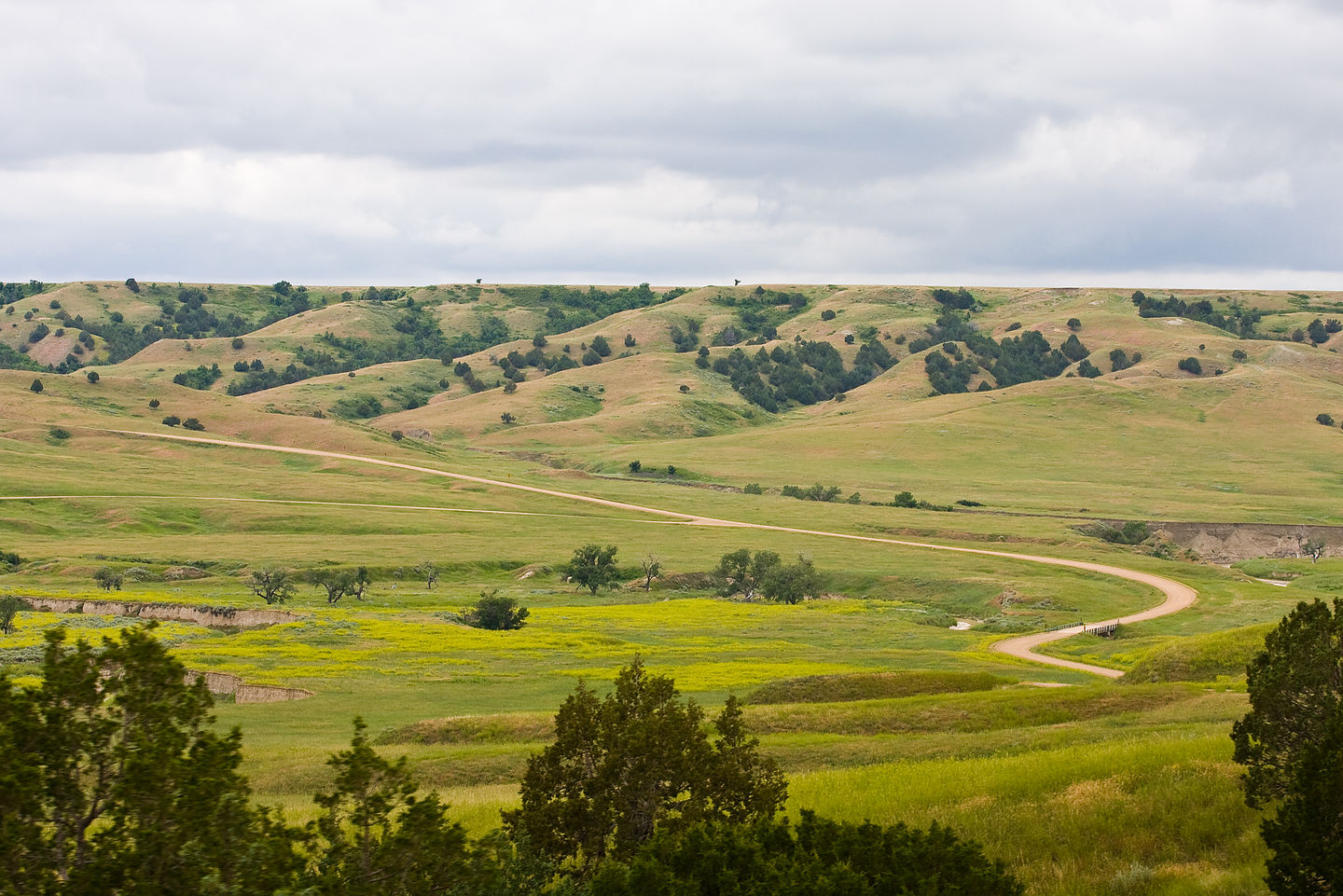 Road To Sage Creek Campground