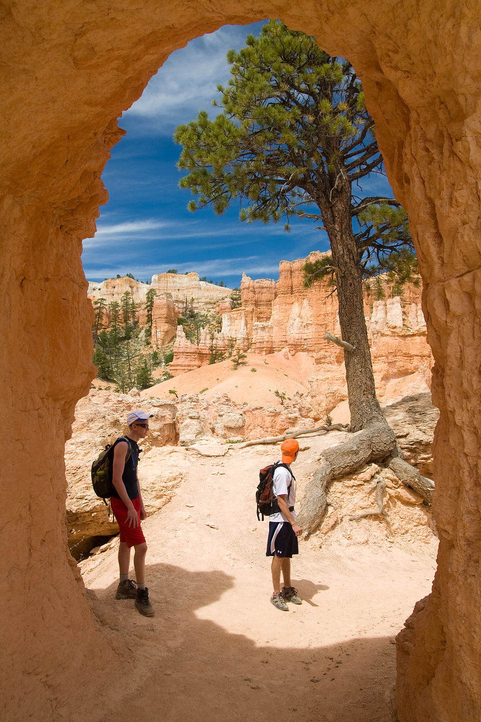 Through The Wall Through The Wall