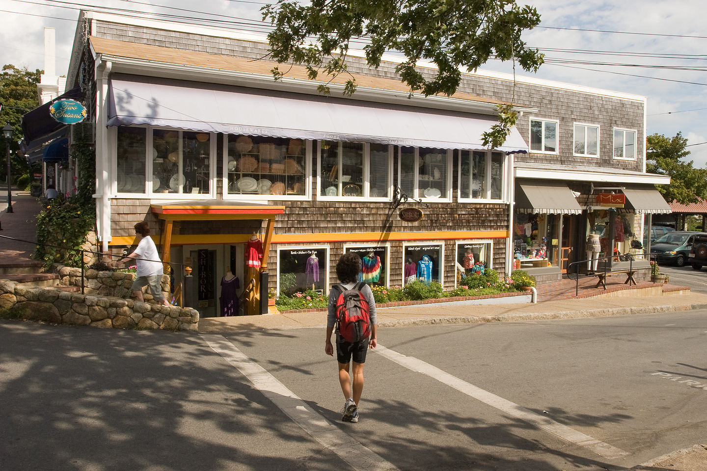 Lolo crossing road to Tisbury Shops