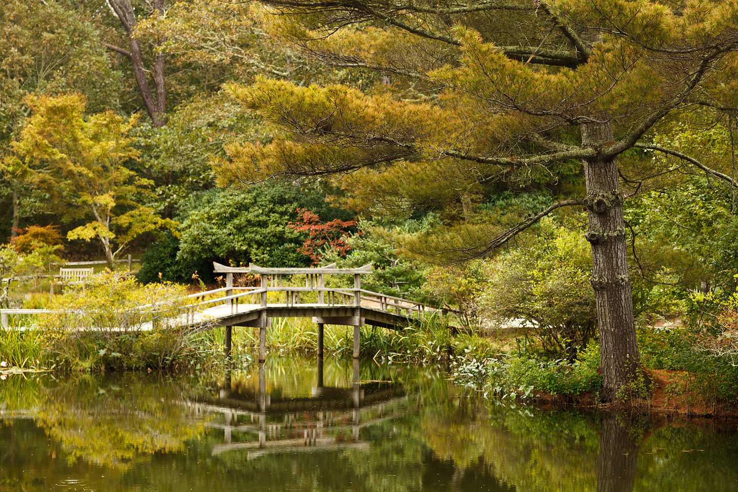 Mytoi Garden Arched Wooden Bridge Mytoi Garden Arched Wooden Bridge
