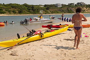 Lolo and Kayaks at the Gut