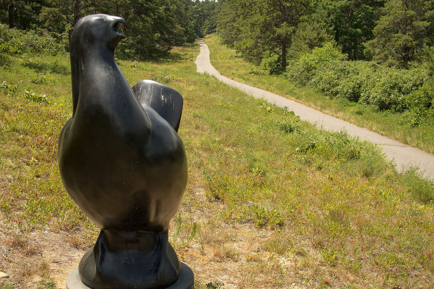 "Boomer" and State Forest Trail "Boomer" and State Forest Trail
