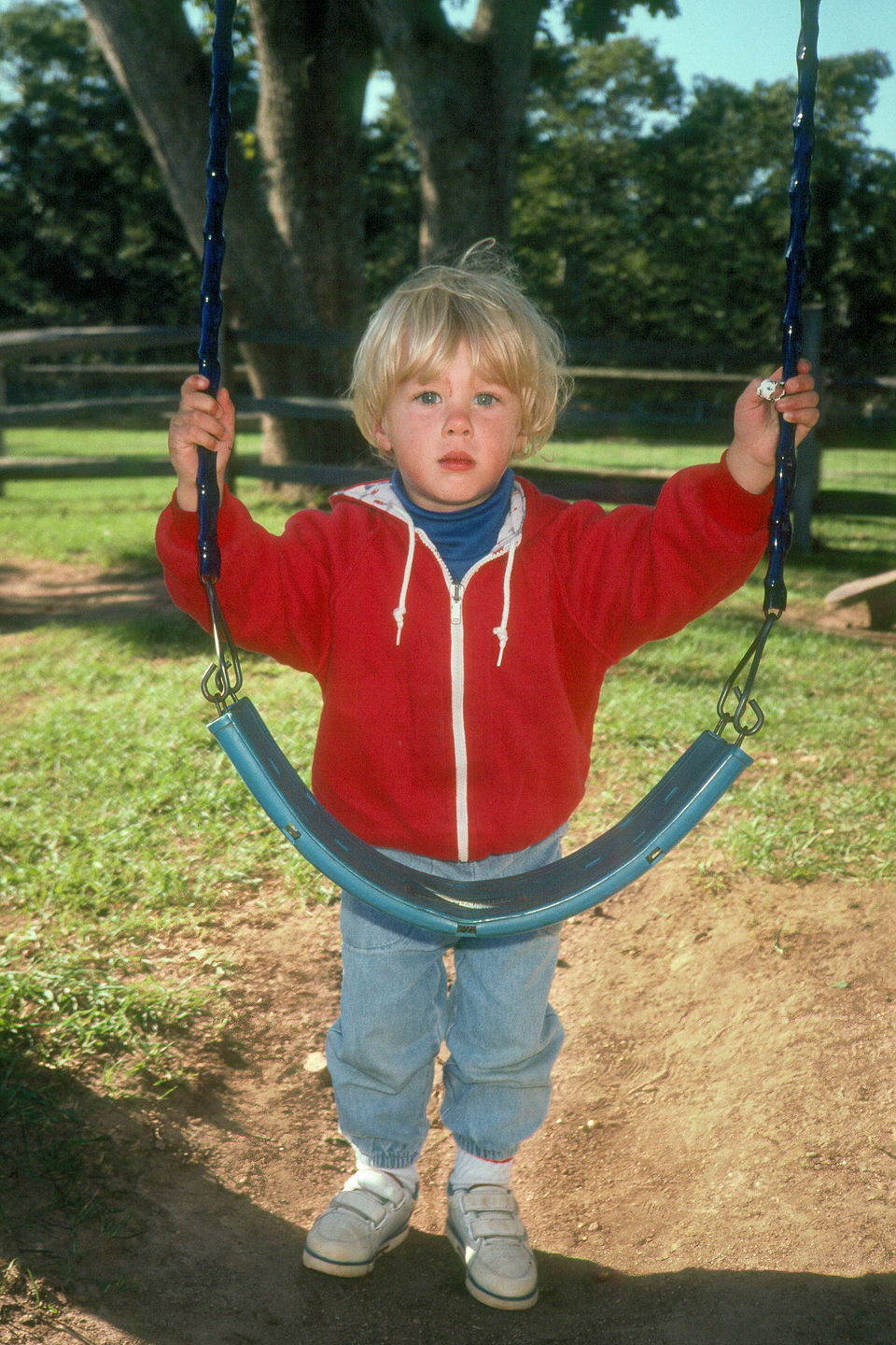 Tommy at Llama Farm Tommy at Llama Farm