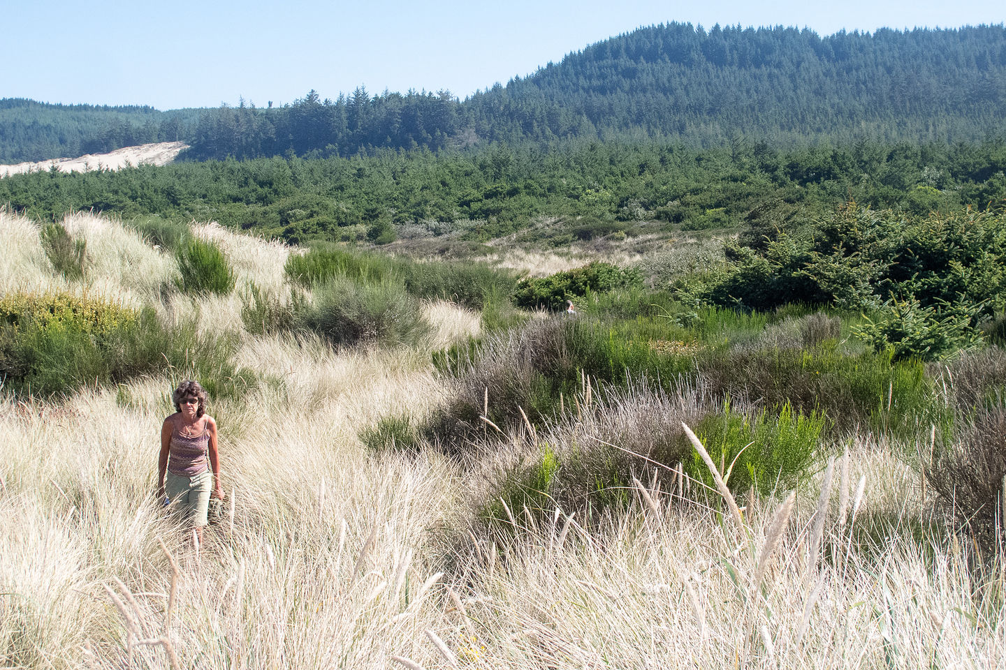 Lolo Hiking the Oregon Dunes National Recreation Area Lolo Hiking the Oregon Dunes National Recreation Area