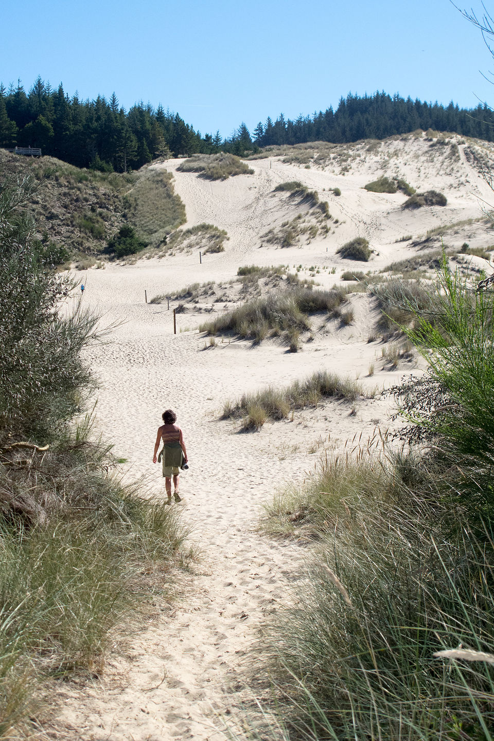 Oregon Dunes National Recreation Area