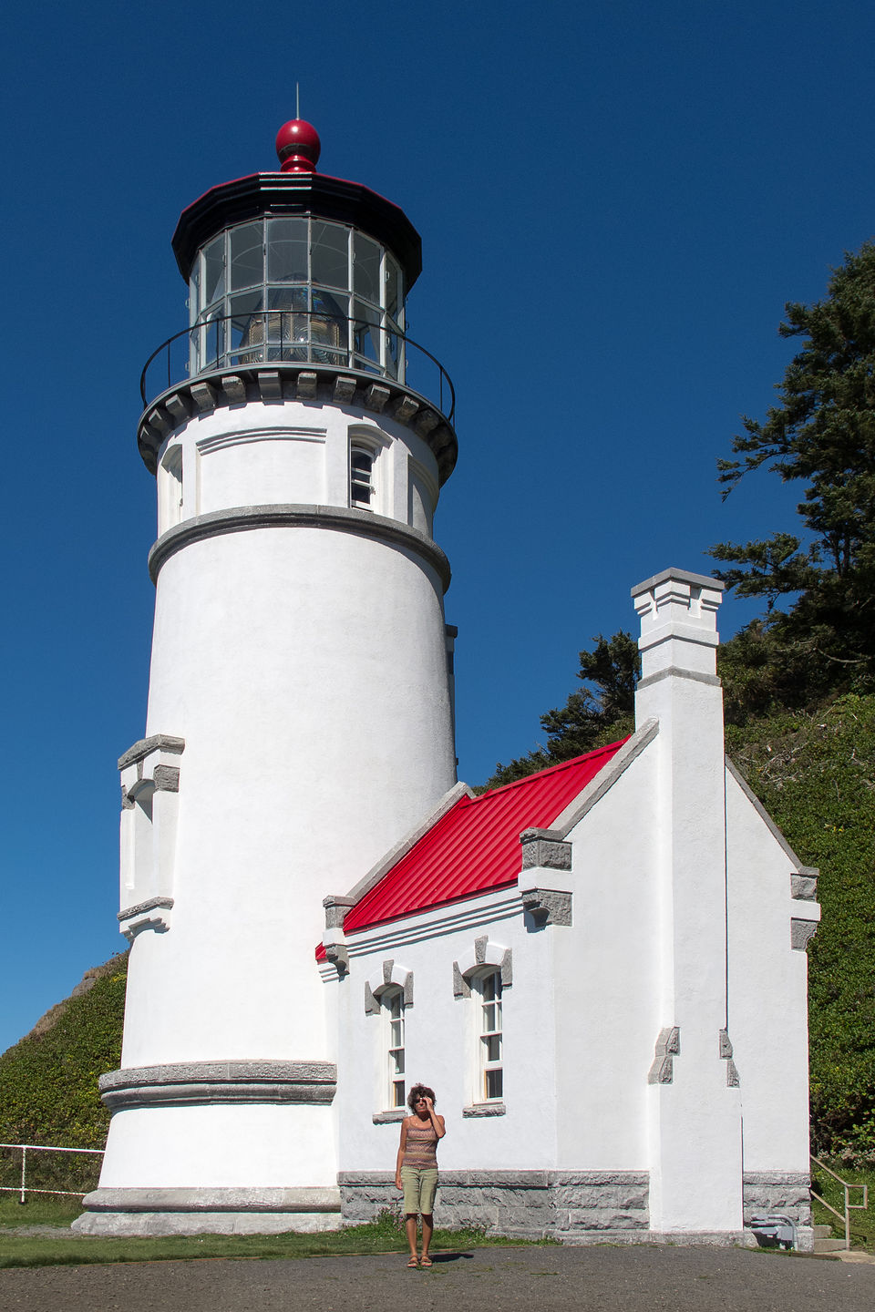 Lolo at Base of Heceta Head Lighthouse Lolo at Base of Heceta Head Lighthouse