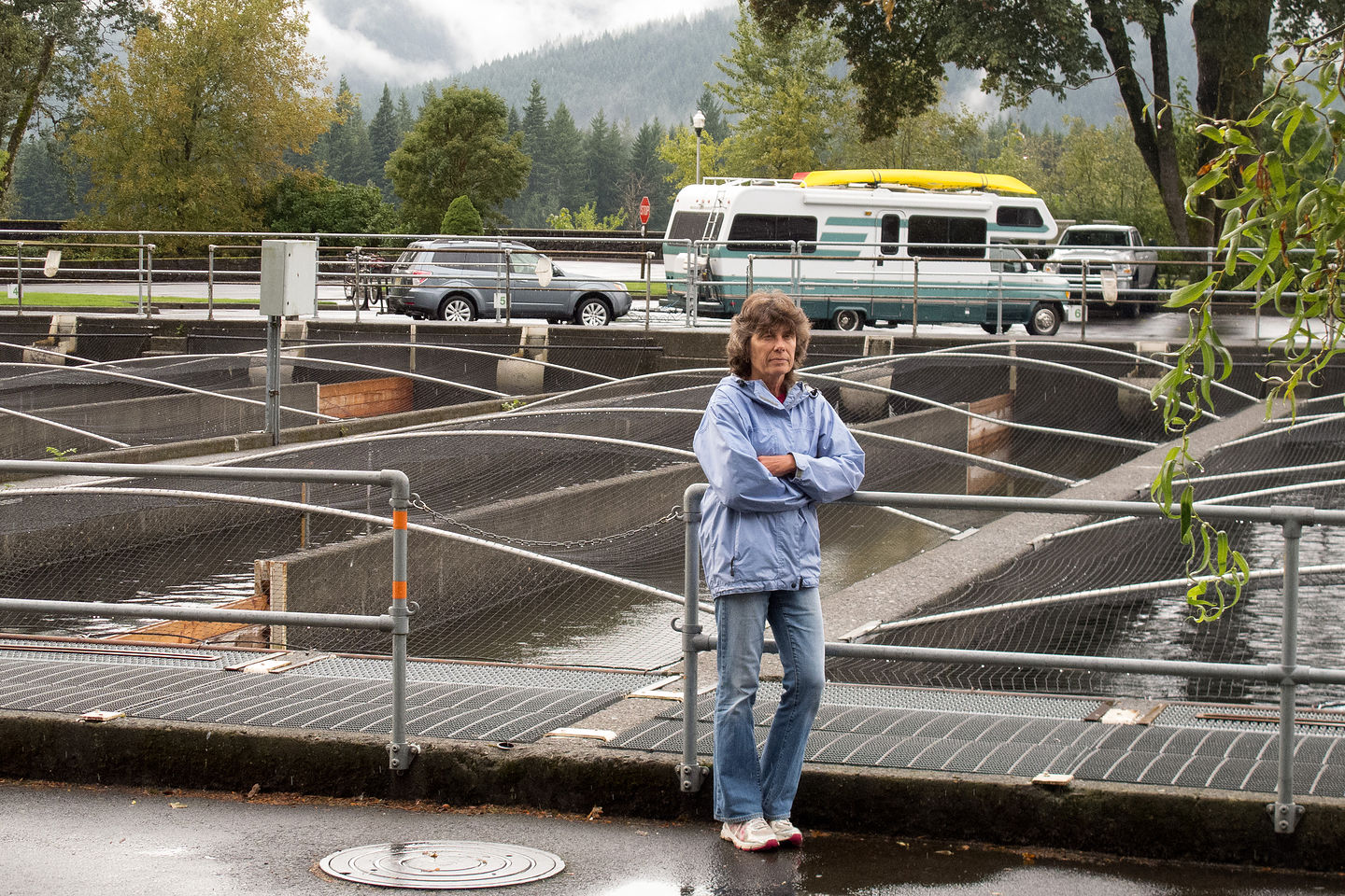 Rainy Day at the Fish Hatchery Rainy Day at the Fish Hatchery