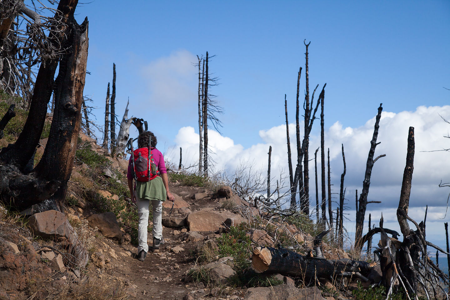 Lolo Hiking Black Butte